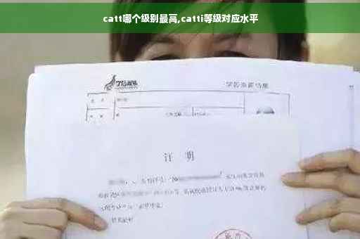 catt哪个级别最高,catti等级对应水平