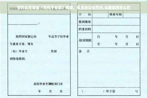 借的车是套牌（司机不知道）被查，司机会受处罚吗,车辆套牌怎么罚