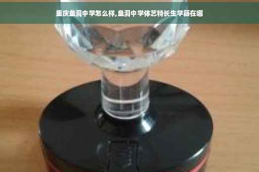重庆鱼洞中学怎么样,鱼洞中学体艺特长生学籍在哪