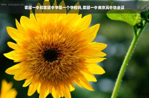 霍邱一中和霍邱中学是一个学校吗,霍邱一中南京高中毕业证