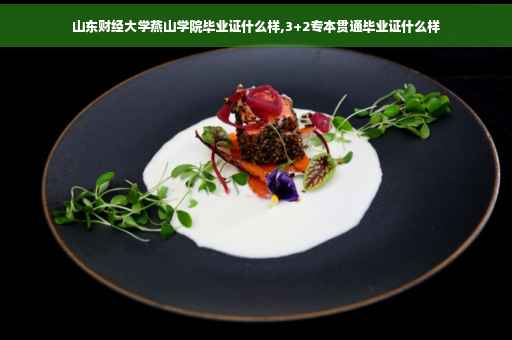山东财经大学燕山学院毕业证什么样,3+2专本贯通毕业证什么样