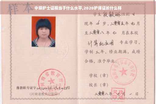 中级护士证相当于什么水平,2020护师证长什么样