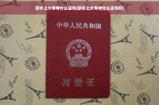 职中上大专考什么证书(职中上大专考什么证书好)
