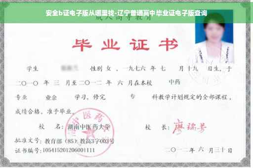 安全b证电子版从哪里找-辽宁普通高中毕业证电子版查询