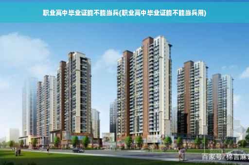 职业高中毕业证能不能当兵(职业高中毕业证能不能当兵用)