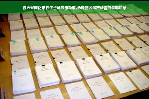 陕西省咸阳市独生子证怎样领取,西咸新区房产证盖的是哪的章