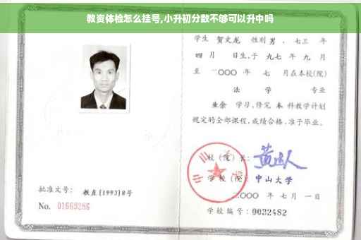 教资体检怎么挂号,小升初分数不够可以升中吗