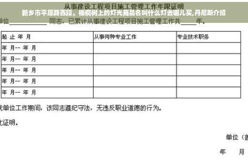 新乡市平原路西段。梧桐树上的灯光商品名叫什么灯去哪儿买,丹尼斯介绍