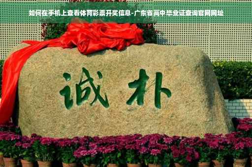 如何在手机上查看体育彩票开奖信息-广东省高中毕业证查询官网网址