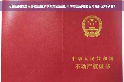 无锡商贸旅游高等职业技术学校毕业证是,大学毕业证书的图片是什么样子的?
