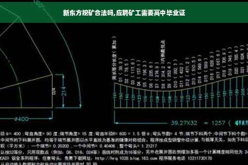 新东方挖矿合法吗,应聘矿工需要高中毕业证