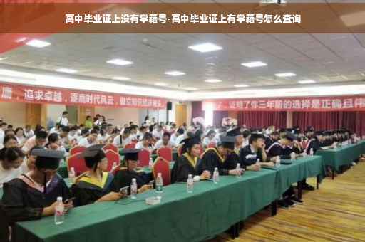 高中毕业证上没有学籍号-高中毕业证上有学籍号怎么查询