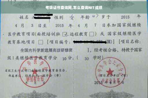 考级证书查询网,怎么查询NIT成绩
