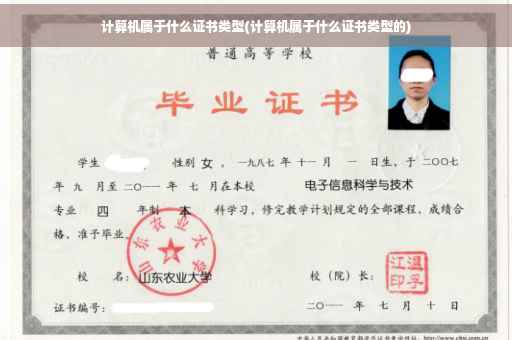 计算机属于什么证书类型(计算机属于什么证书类型的)