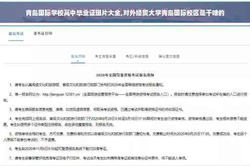 青岛国际学校高中毕业证图片大全,对外经贸大学青岛国际校区是干啥的