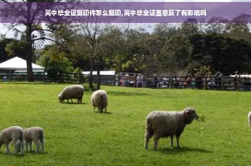 高中毕业证复印件怎么复印,高中毕业证盖章反了有影响吗