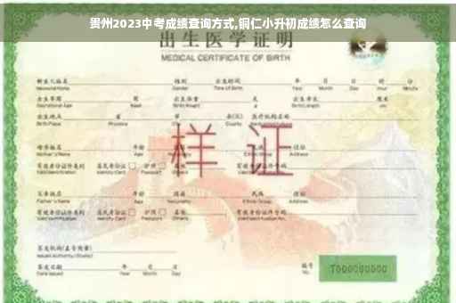 贵州2023中考成绩查询方式,铜仁小升初成绩怎么查询 贵州2023中考成绩查询方式,铜仁小升初成绩怎么查询