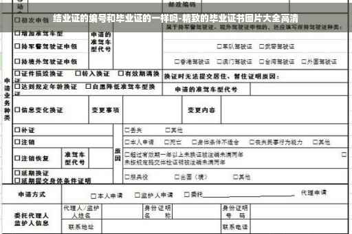 结业证的编号和毕业证的一样吗-精致的毕业证书图片大全高清