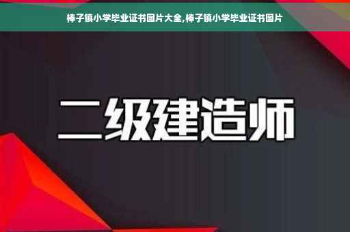 棒子镇小学毕业证书图片大全,棒子镇小学毕业证书图片
