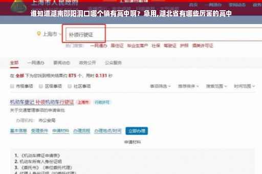 谁知道湖南邵阳洞口哪个镇有高中啊？急用,湖北省有哪些厉害的高中