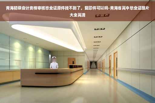 青海初级会计资格审核毕业证原件找不到了，复印件可以吗-青海省高中毕业证图片大全高清