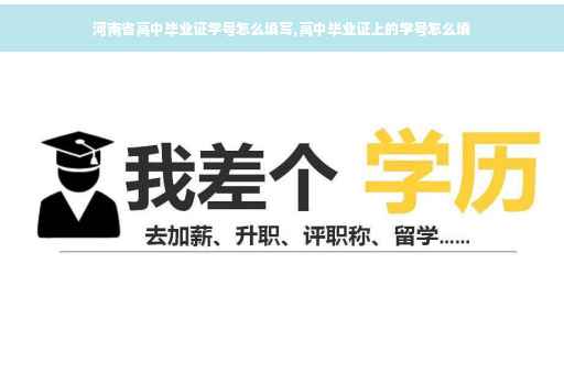 河南省高中毕业证学号怎么填写,高中毕业证上的学号怎么填
