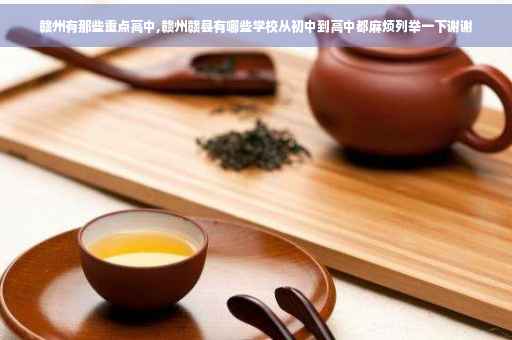 赣州有那些重点高中,赣州赣县有哪些学校从初中到高中都麻烦列举一下谢谢