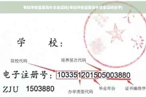 专科学校需要高中毕业证吗(专科学校需要高中毕业证吗知乎)