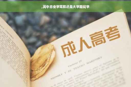 ,高中毕业学驾照还是大学期间学