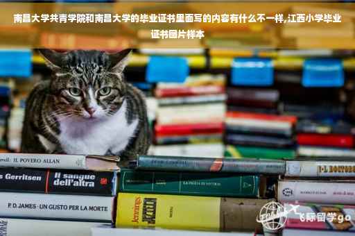 南昌大学共青学院和南昌大学的毕业证书里面写的内容有什么不一样,江西小学毕业证书图片样本