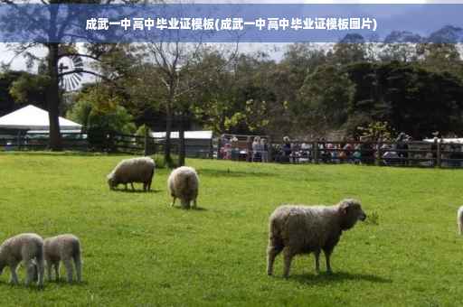 成武一中高中毕业证模板(成武一中高中毕业证模板图片) 成武一中高中毕业证模板(成武一中高中毕业证模板图片)