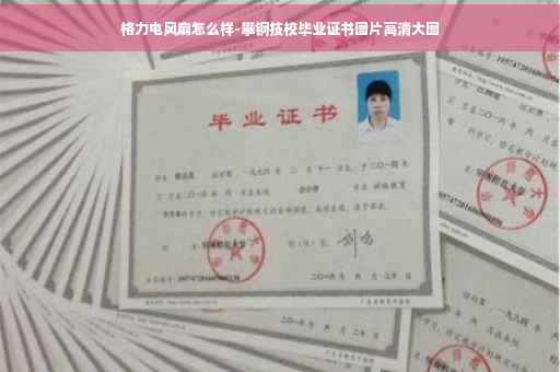 格力电风扇怎么样-攀钢技校毕业证书图片高清大图