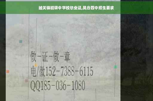 城关镇初级中学校毕业证,凤台四中招生要求