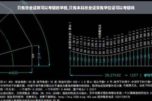 只有毕业证就可以考研的学校,只有本科毕业证没有学位证可以考研吗