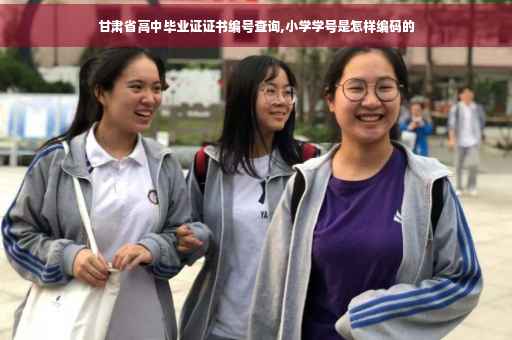 甘肃省高中毕业证证书编号查询,小学学号是怎样编码的