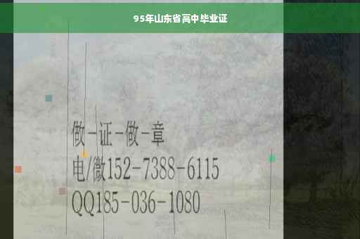 95年山东省高中毕业证