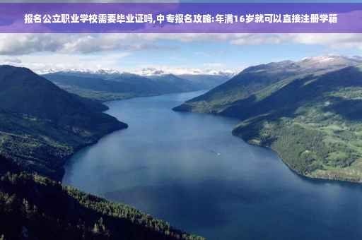 报名公立职业学校需要毕业证吗,中专报名攻略:年满16岁就可以直接注册学籍 报名公立职业学校需要毕业证吗,中专报名攻略:年满16岁就可以直接注册学籍