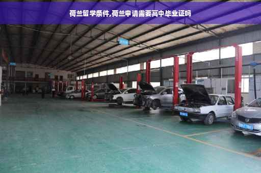 荷兰留学条件,荷兰申请需要高中毕业证吗