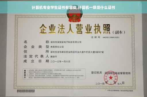 计算机专业学生证书有哪些,计算机一级是什么证书