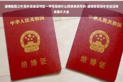湖南衡阳三中高中毕业证书统一学号是按什么规律来填写的-湖南省初高中毕业证样本图片大全