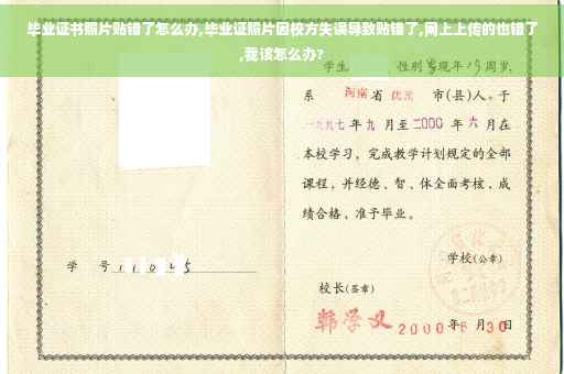 毕业证书照片贴错了怎么办,毕业证照片因校方失误导致贴错了,网上上传的也错了,我该怎么办?