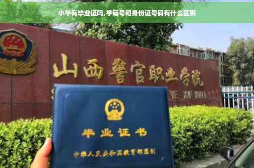 小学有毕业证吗,学籍号和身份证号码有什么区别