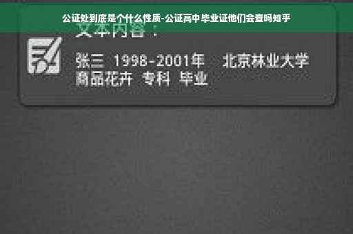 公证处到底是个什么性质-公证高中毕业证他们会查吗知乎