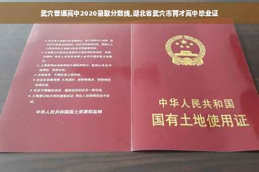 武穴普通高中2020录取分数线,湖北省武穴市育才高中毕业证