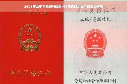 2001年高中学籍编号规则-90年代四川高中毕业证样本