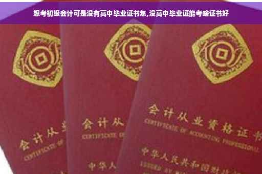 想考初级会计可是没有高中毕业证书怎,没高中毕业证能考啥证书好