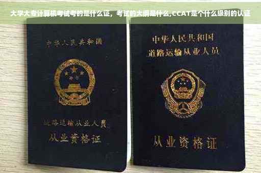 大学大专计算机考试考的是什么证，考试的大纲是什么,CCAT是个什么级别的认证