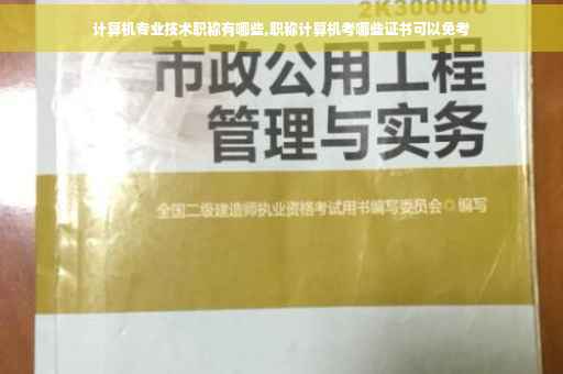 计算机专业技术职称有哪些,职称计算机考哪些证书可以免考