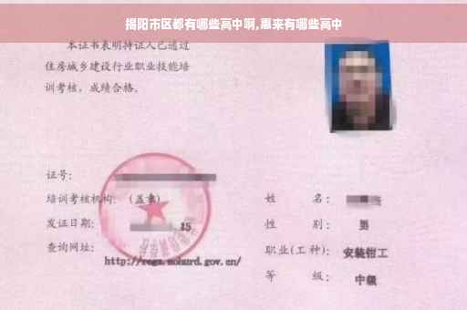 揭阳市区都有哪些高中啊,惠来有哪些高中