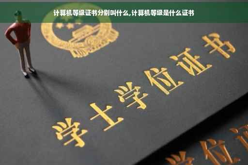 计算机等级证书分别叫什么,计算机等级是什么证书